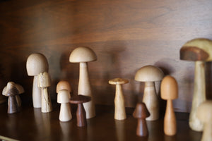 2024 Mini Woodland Mushroom Drop - Batch 001