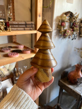 Load image into Gallery viewer, 2025 Mixed Exotic Woodland Tree Drop
