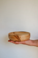 Load image into Gallery viewer, shallow spalted maple platter • batch 321
