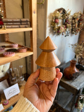 Load image into Gallery viewer, 2025 Mixed Exotic Woodland Tree Drop
