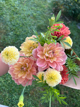 Load image into Gallery viewer, Day dreamer dahlia
