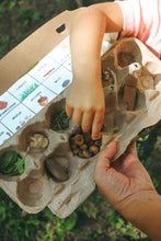 Load image into Gallery viewer, Wild + Rooted Nature Club: Pop Up Workshops
