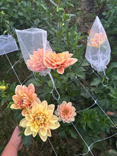 Load image into Gallery viewer, Bloom bags
