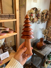 Load image into Gallery viewer, 2025 Mixed Exotic Woodland Tree Drop
