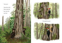 Load image into Gallery viewer, When a Tree Falls
