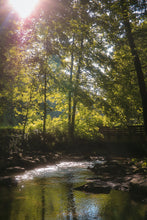Load image into Gallery viewer, Wild + Rooted: Mama + Me Nature Sessions Registration
