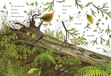 Load image into Gallery viewer, When a Tree Falls
