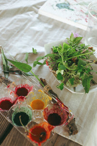 Wild + Rooted Nature Club: Pop Up Workshops