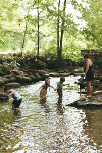 Wild + Rooted Nature Club: Pop Up Workshops