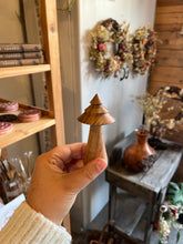 Load image into Gallery viewer, 2025 Mixed Exotic Woodland Tree Drop
