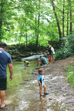 Load image into Gallery viewer, Wild + Rooted Nature Club: Pop Up Workshops
