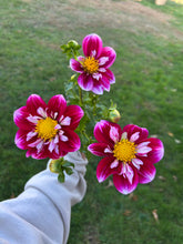 Load image into Gallery viewer, 9 Bouquet Flower Subscription (2026)
