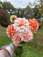 Load image into Gallery viewer, 5 Bouquet Flower Subscription (2026)
