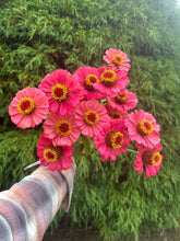 Load image into Gallery viewer, 5 Bouquet Flower Subscription (2026)
