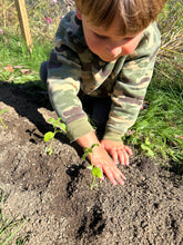 Load image into Gallery viewer, 9 Bouquet Flower Subscription (2026)
