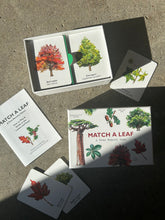 Load image into Gallery viewer, Match a Leaf

