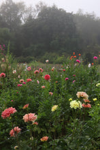 Load image into Gallery viewer, 9 Bouquet Flower Subscription (2026)
