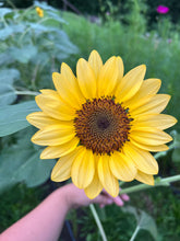Load image into Gallery viewer, 5 Bouquet Flower Subscription (2026)
