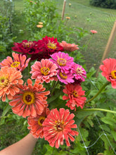 Load image into Gallery viewer, 5 Bouquet Flower Subscription (2026)
