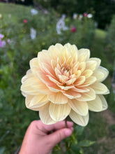 Load image into Gallery viewer, 5 Bouquet Flower Subscription (2026)
