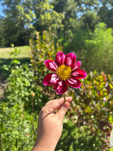 Load image into Gallery viewer, Biweekly Bouquet Flower Subscription (2026)
