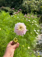 Load image into Gallery viewer, Biweekly Bouquet Flower Subscription (2026)
