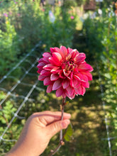 Load image into Gallery viewer, Biweekly Bouquet Flower Subscription (2026)
