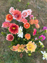 Load image into Gallery viewer, 5 Bouquet Flower Subscription (2026)
