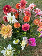 Load image into Gallery viewer, 9 Bouquet Flower Subscription (2026)
