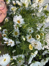 Load image into Gallery viewer, Biweekly Bouquet Flower Subscription (2026)
