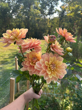 Load image into Gallery viewer, Biweekly Bouquet Flower Subscription (2026)
