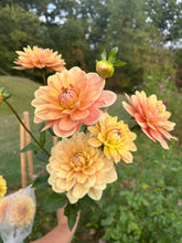 Load image into Gallery viewer, 5 Bouquet Flower Subscription (2026)
