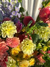 Load image into Gallery viewer, Sun Kissed dahlia
