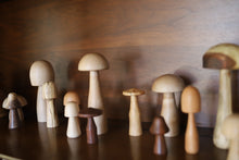 Load image into Gallery viewer, 2024 Mini Woodland Mushroom Drop - Batch 001
