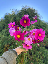 Load image into Gallery viewer, 5 Bouquet Flower Subscription (2026)
