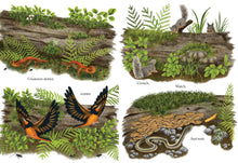 Load image into Gallery viewer, When a Tree Falls
