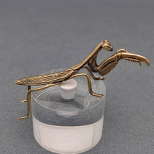 Load image into Gallery viewer, Brass Mantis Desktop Ornaments Decoration
