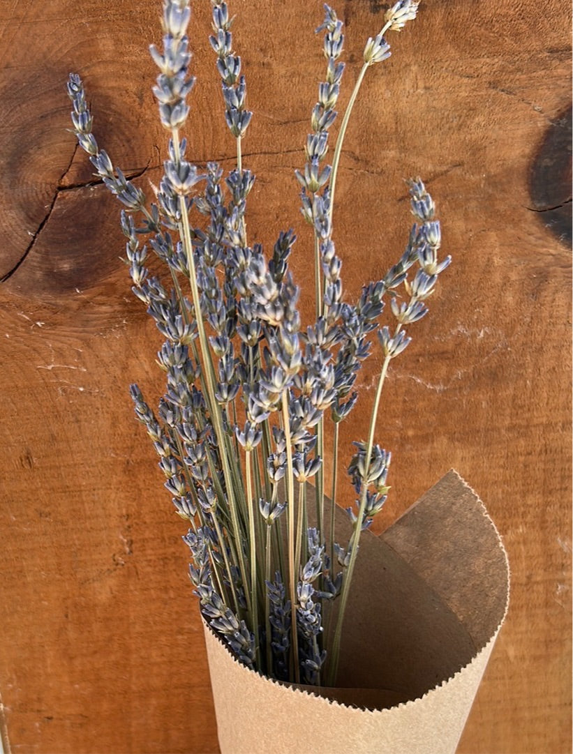 Lavender bundles