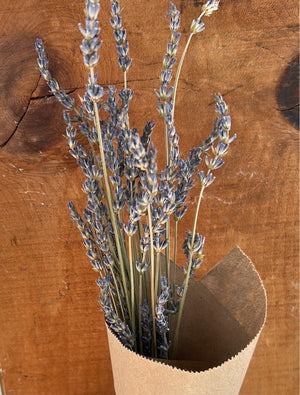 Lavender bundles