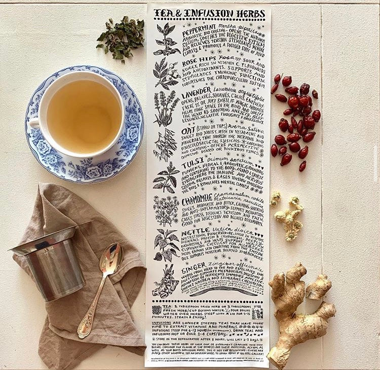 Tea and Infusion Herbs Poster | Thyme Herbal