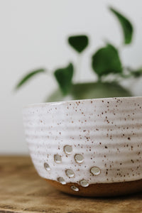 Harvest Bowl