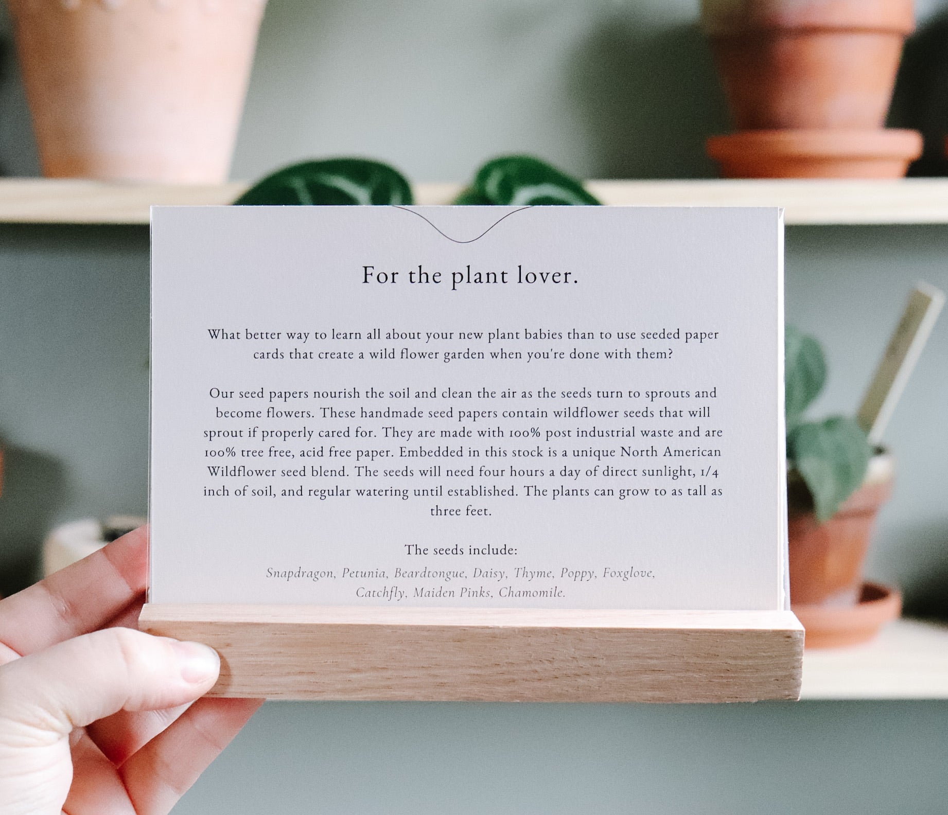 Plant Care Guide Card Set + Holder | MAKE IT SLOW
