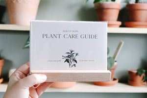 Plant Care Guide Card Set + Holder | MAKE IT SLOW