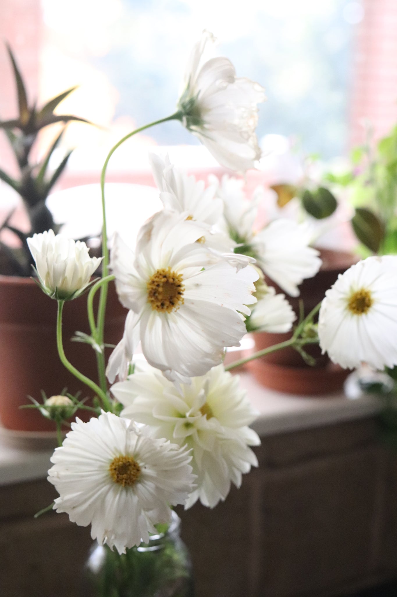 5 Bouquet Flower Subscription