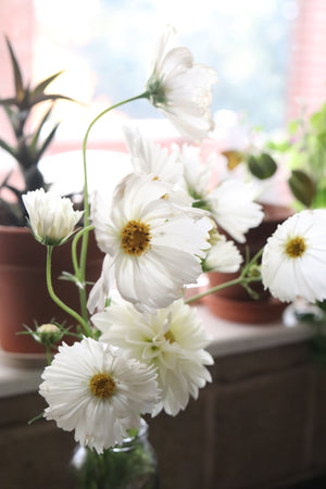 5 Bouquet Flower Subscription