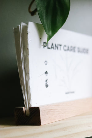 Plant Care Guide Card Set + Holder | MAKE IT SLOW