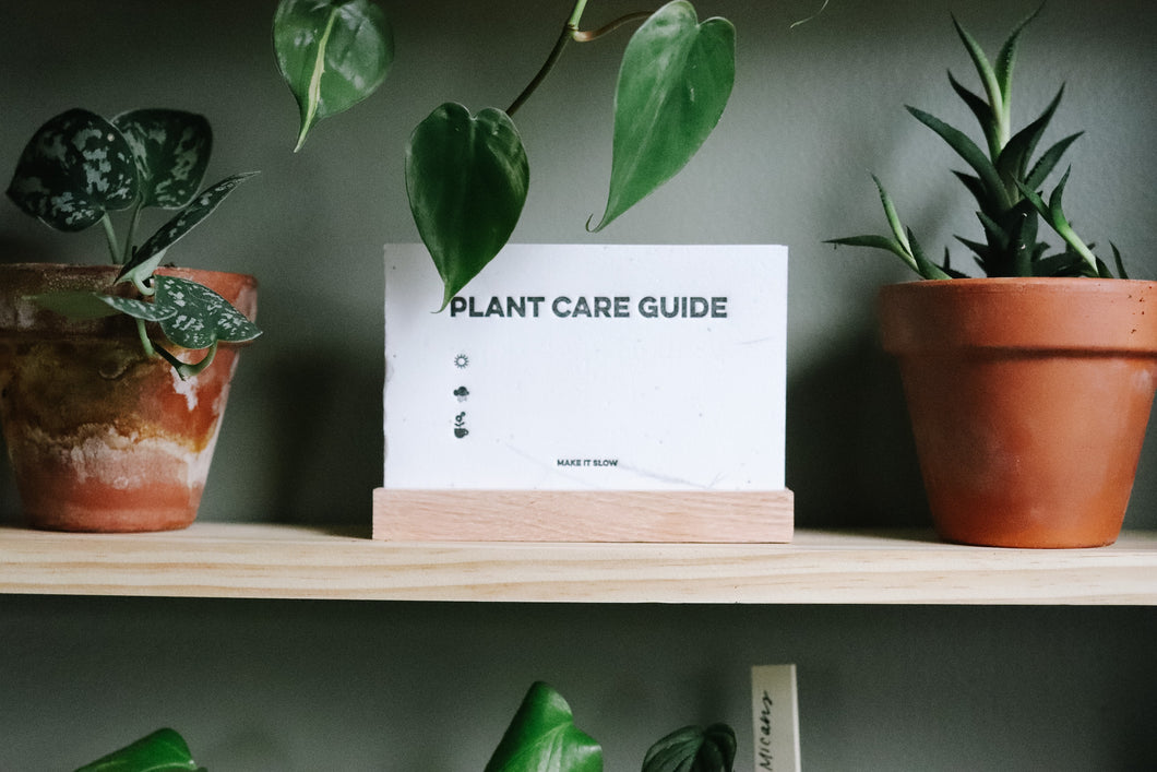 house plant care cards Plant Care Guide Card Set + Holder