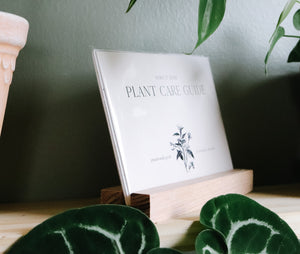 Plant Care Guide Card Set + Holder | MAKE IT SLOW