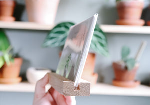 Plant Care Guide Card Set + Holder | MAKE IT SLOW