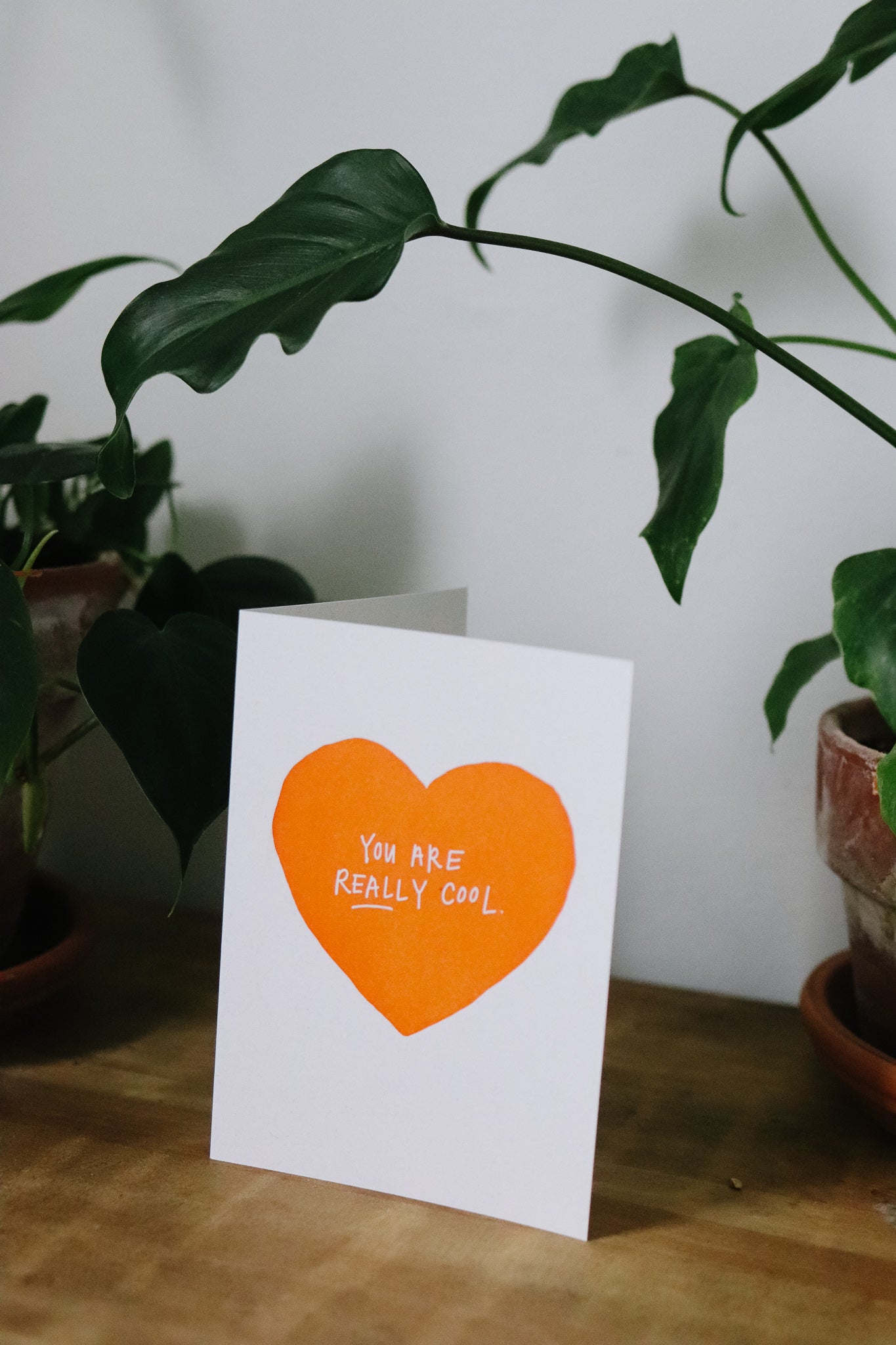 Letterpress Card | You are really cool